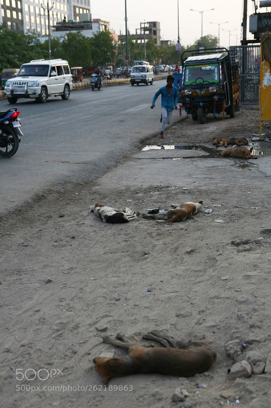 Canon EOS 5D sample photo. India photography