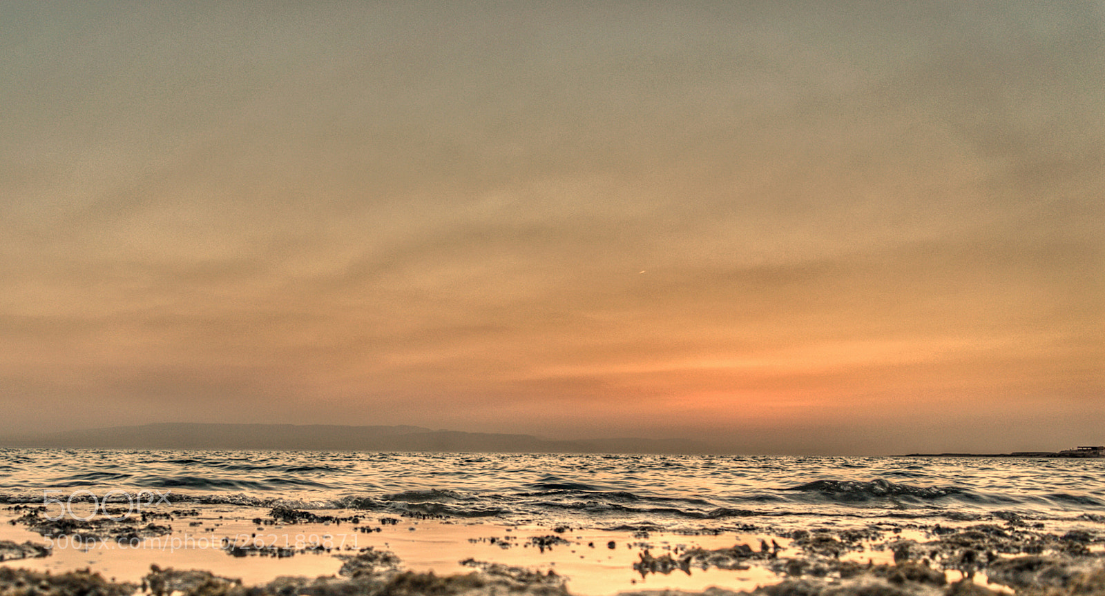 Nikon D3200 sample photo. Untitled photography