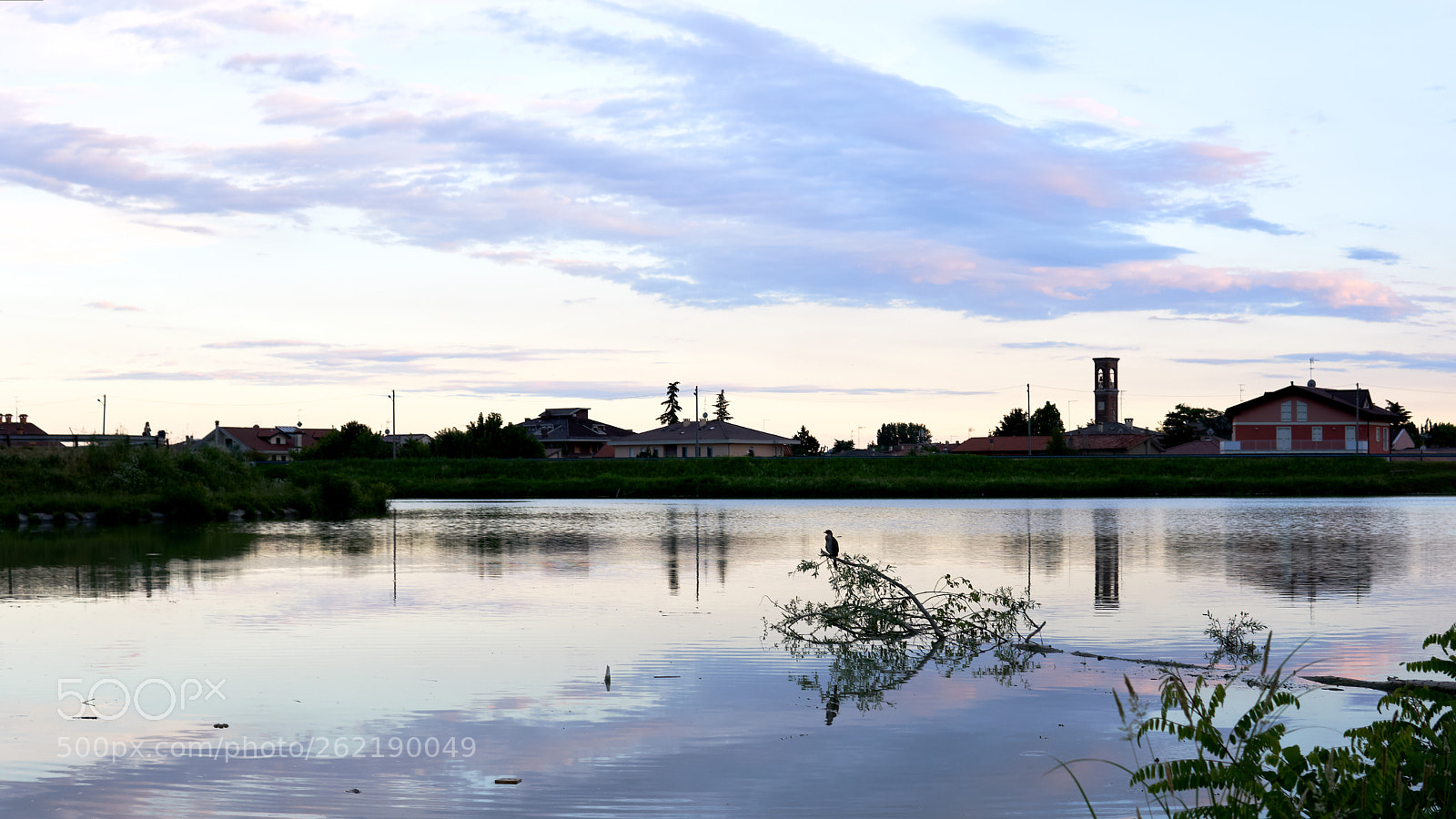 Sony a6300 sample photo. Bird above the river photography