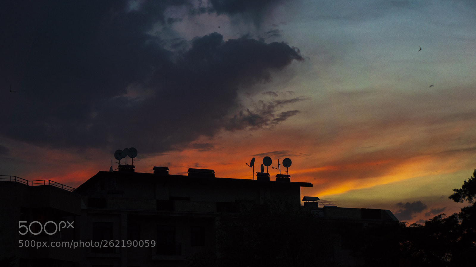 Sony Alpha NEX-5N sample photo. Red sky photography