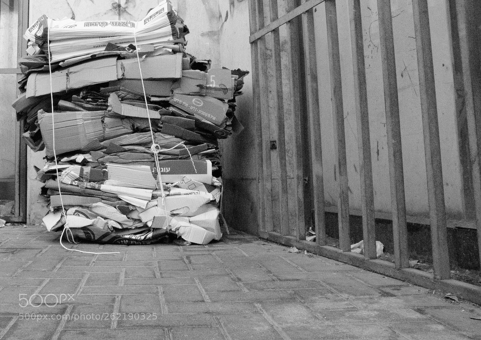 Nikon D7200 sample photo. Recyling photography