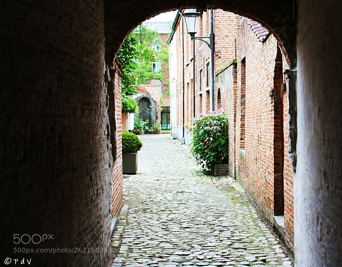 Canon EOS 450D (EOS Rebel XSi / EOS Kiss X2) sample photo. Beguinage ii photography