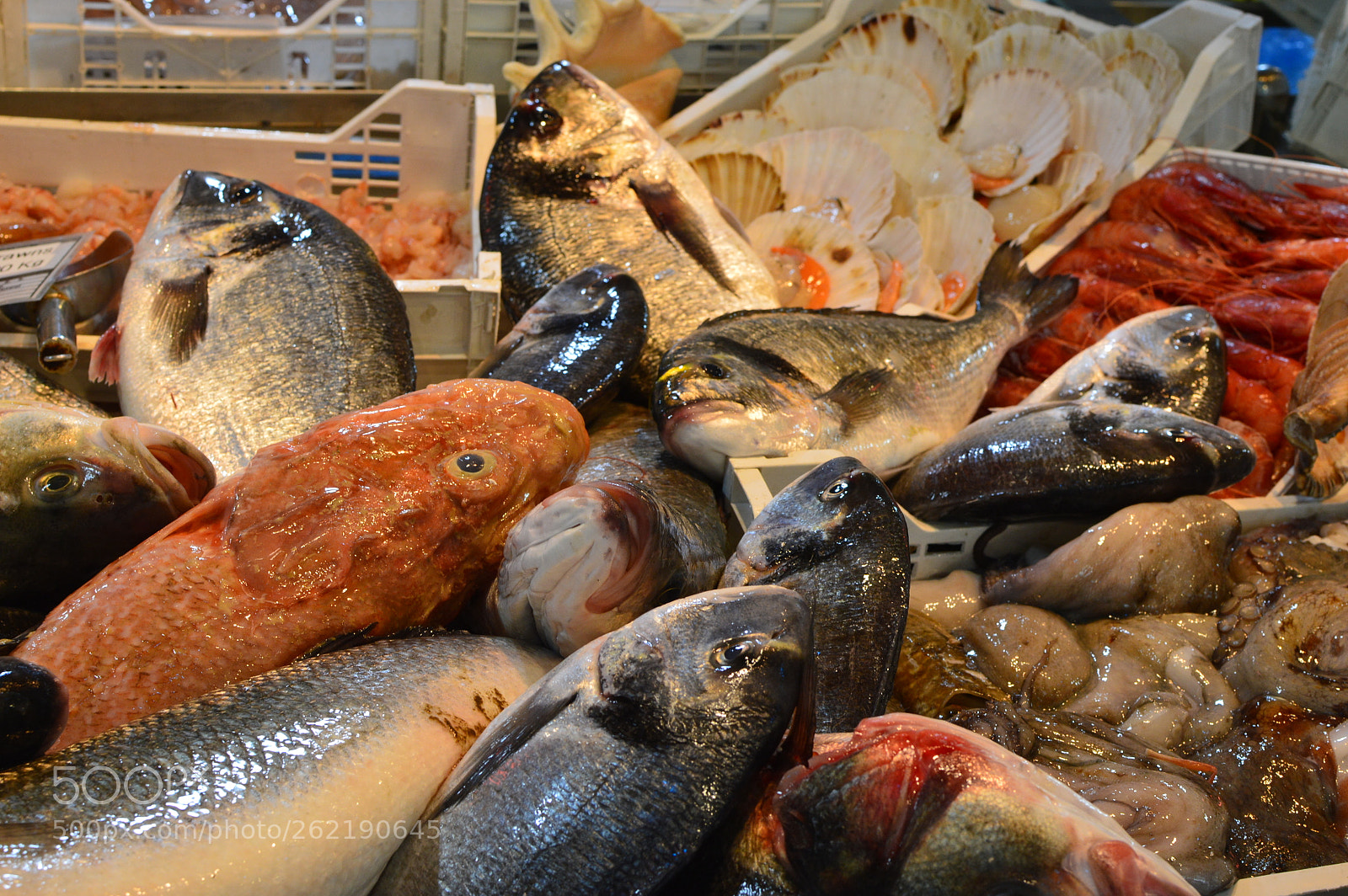 Nikon D3200 + Nikon AF-S DX Nikkor 35mm F1.8G sample photo. Fresh fish photography