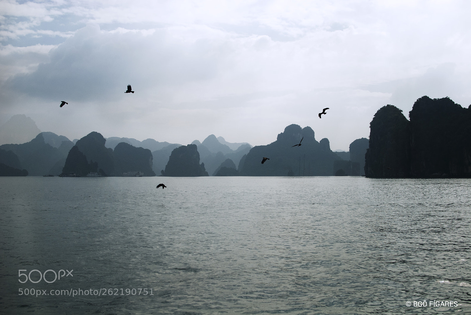 Nikon D80 sample photo. Halong bay photography