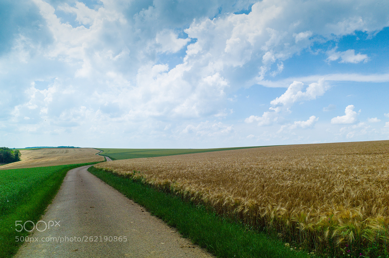 Leica M9 sample photo. Hills above chablis, france photography