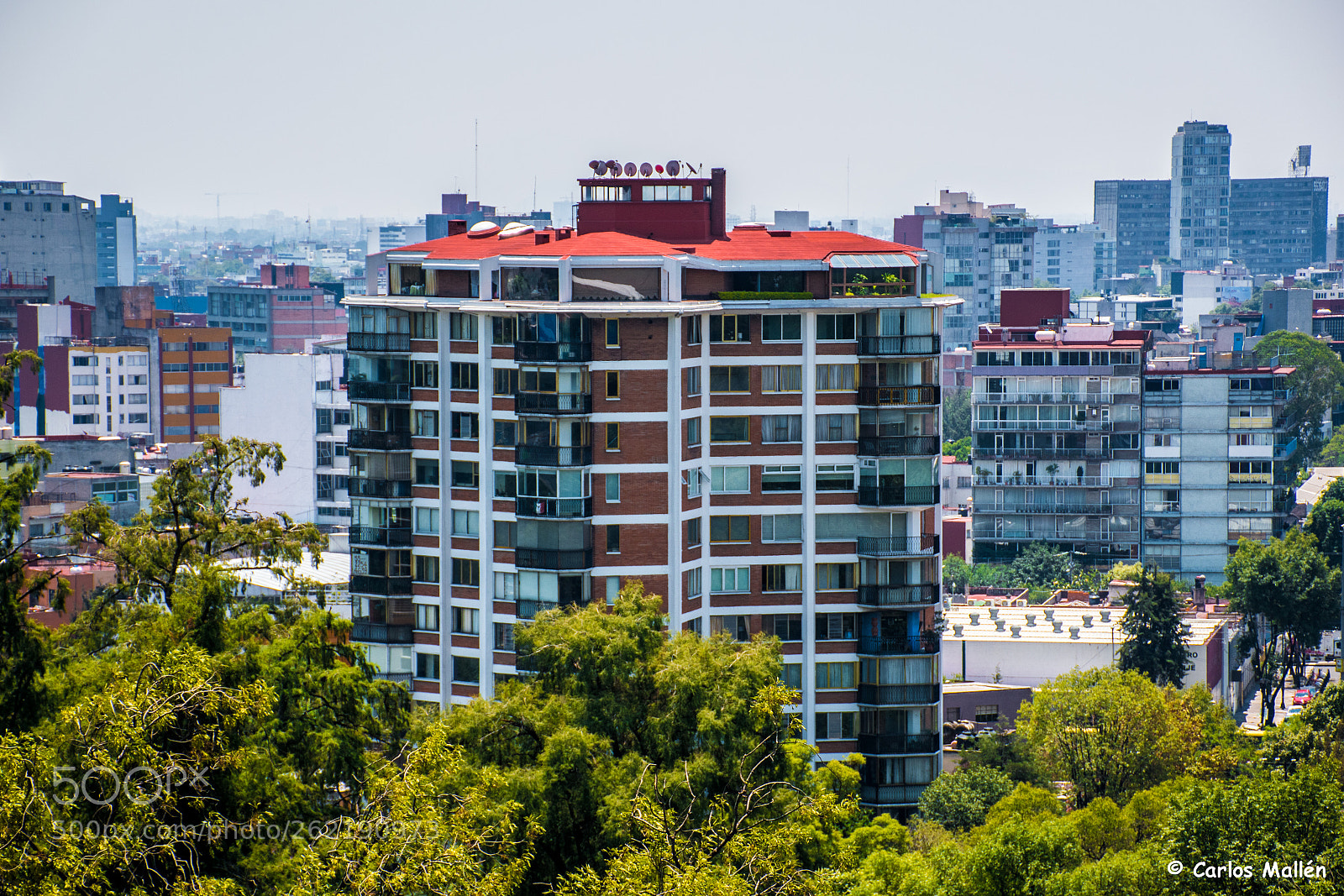 Nikon D5500 sample photo. Roof garden photography