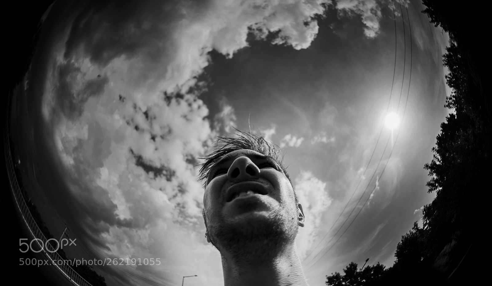 Nikon D810 sample photo. Untitled photography
