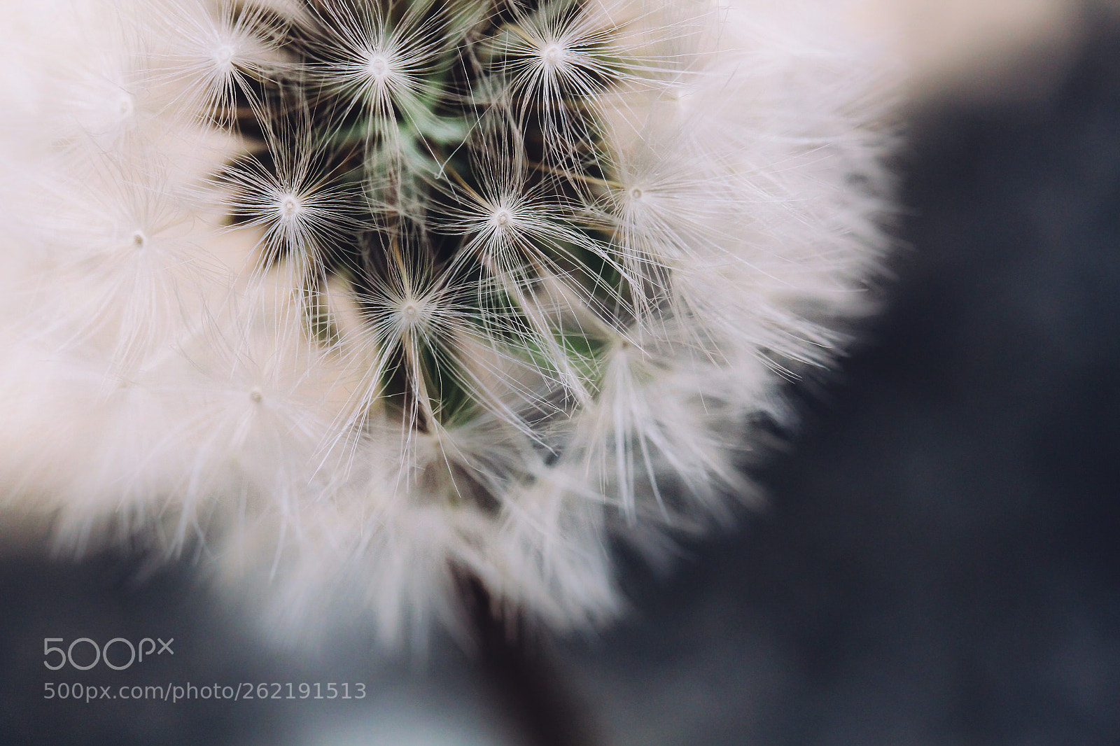 Canon EOS 7D sample photo. Endless wishes ii photography