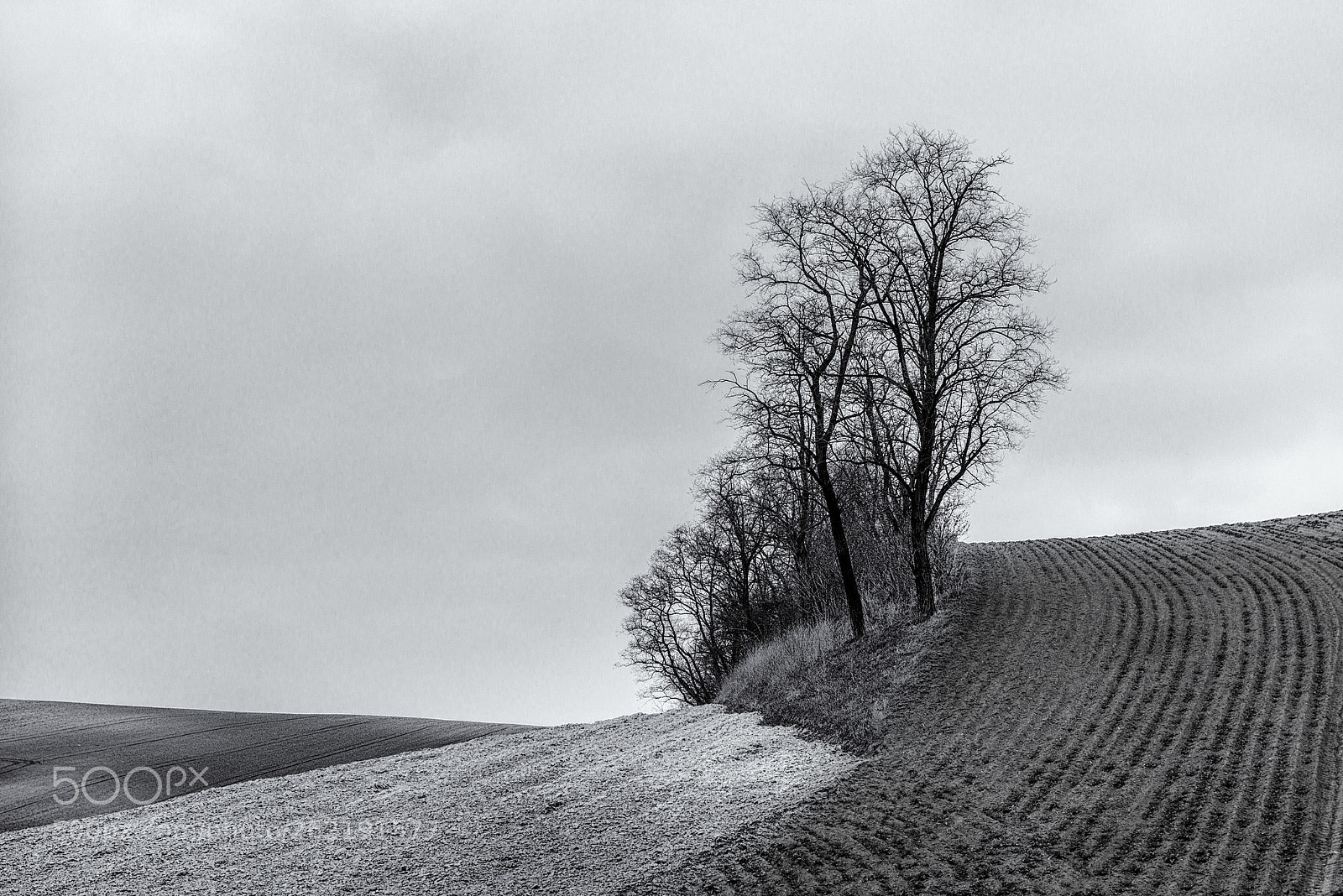 Nikon D610 sample photo. Moravian fields photography