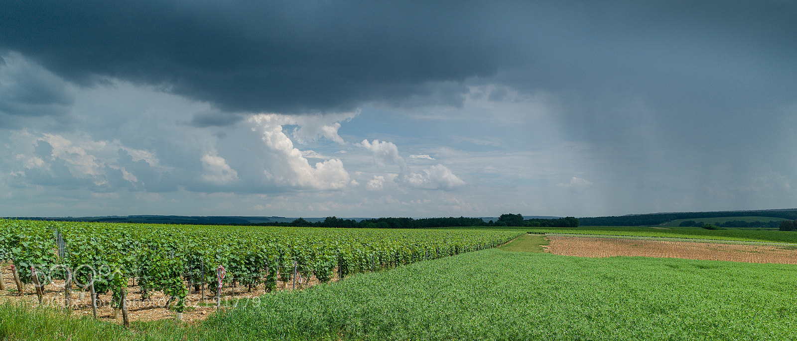 Leica M9 sample photo. Summer rain, hills of photography