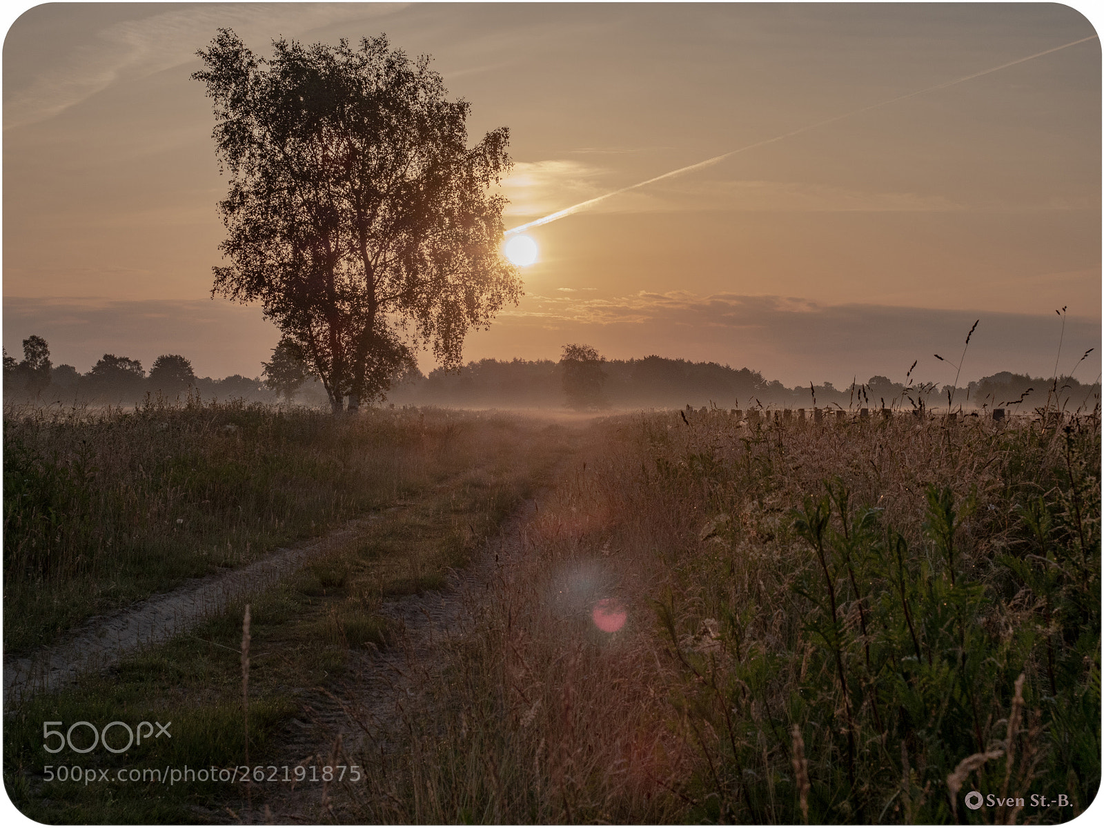 Olympus OM-D E-M5 II sample photo. Morgens um kurz nach photography