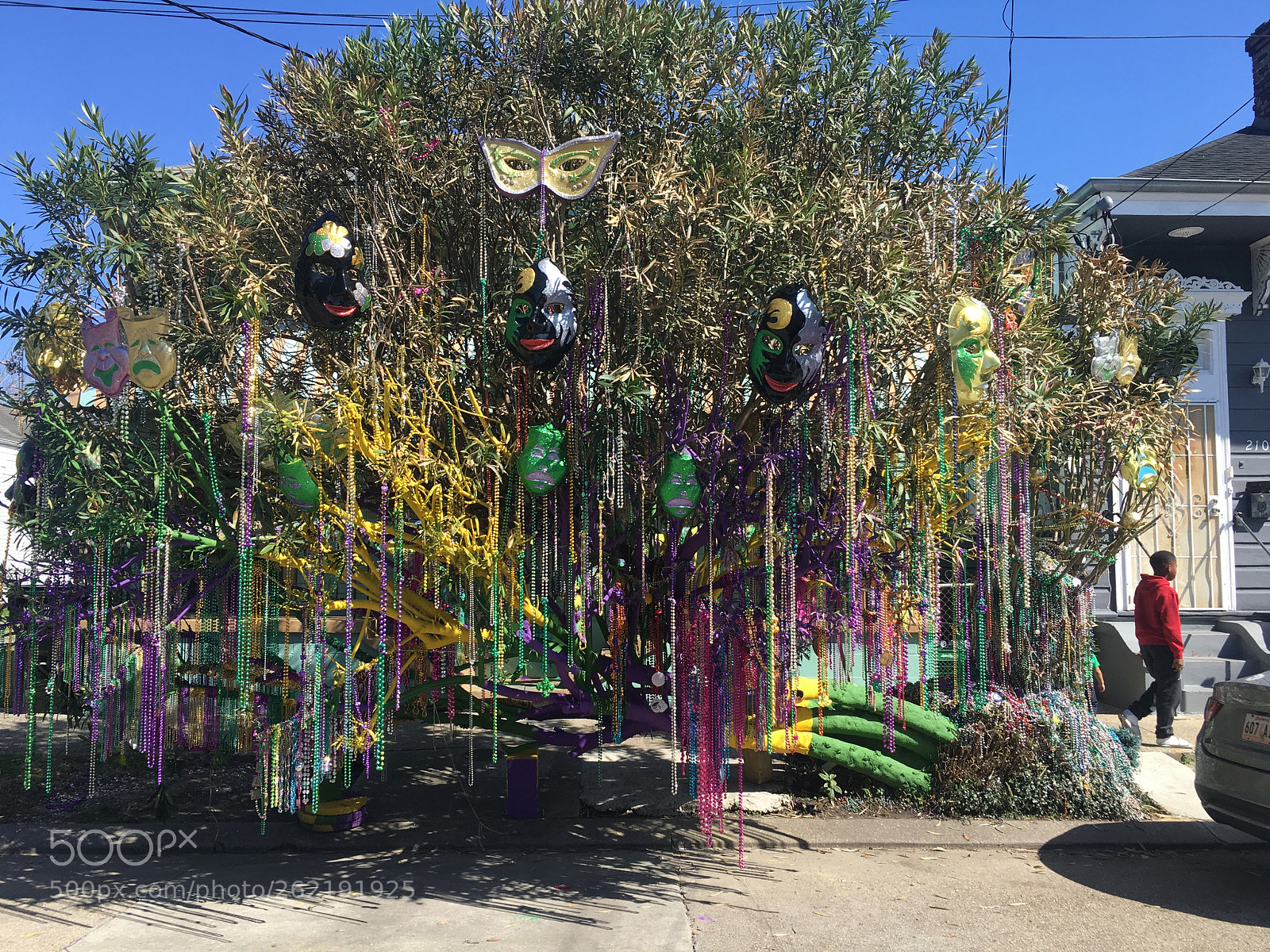 Apple iPhone 6s sample photo. Mardi gras tree photography