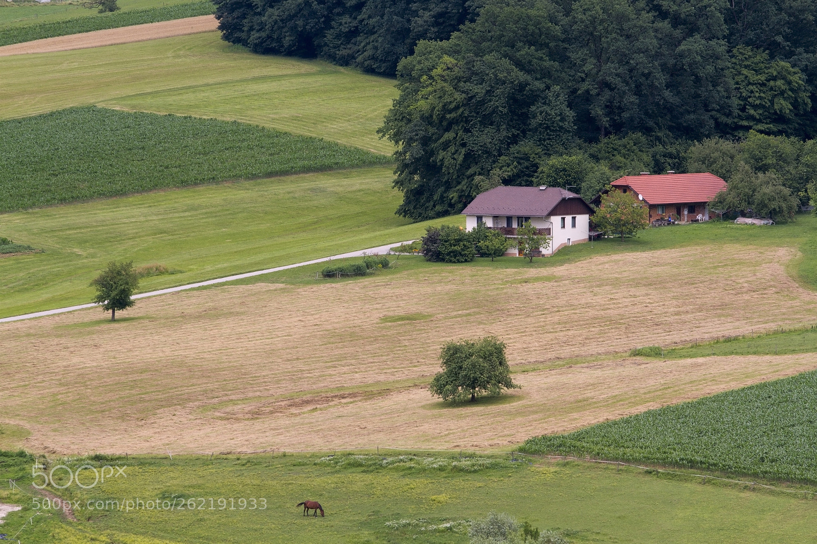 Canon EOS 7D sample photo. Farm photography