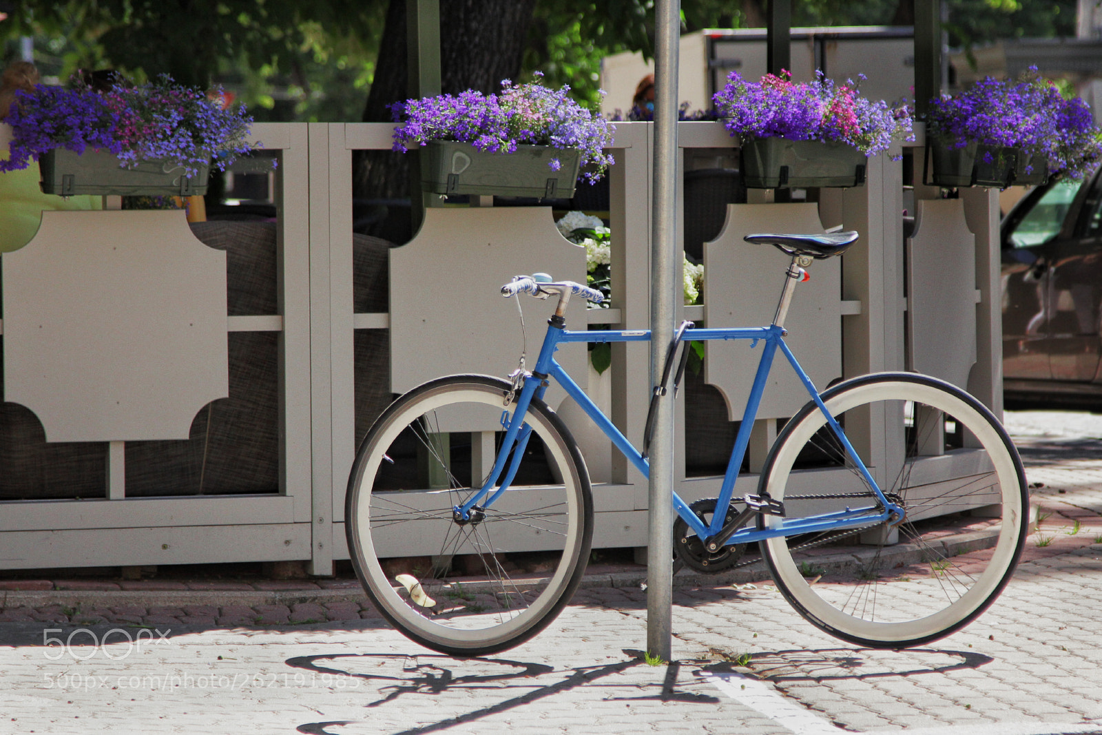 Canon EOS 60D sample photo. In the city photography