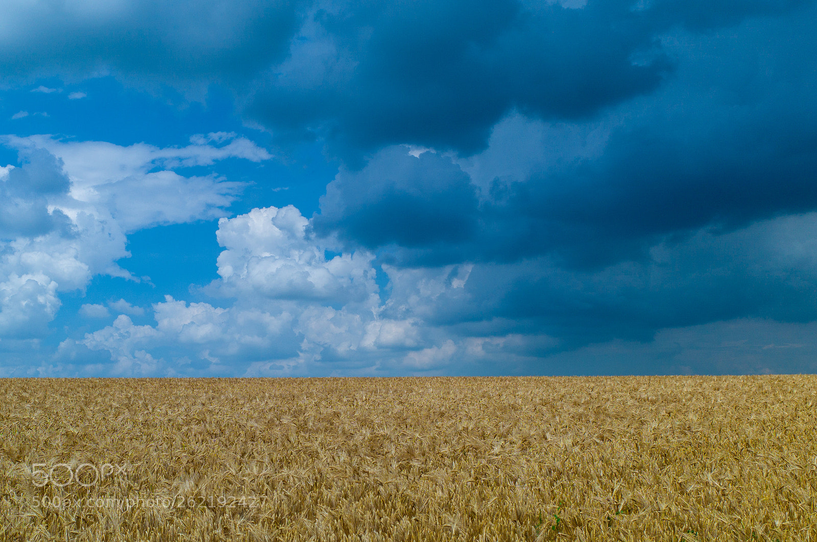 Leica M9 sample photo. Rain clouds over central photography