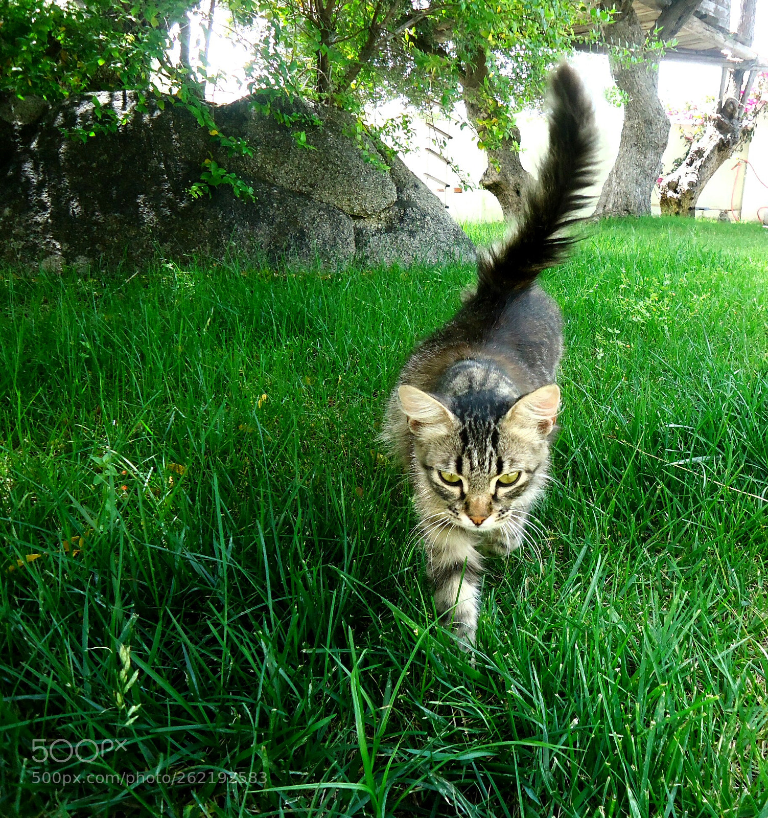 Sony Cyber-shot DSC-W610 sample photo. I'm busy photography