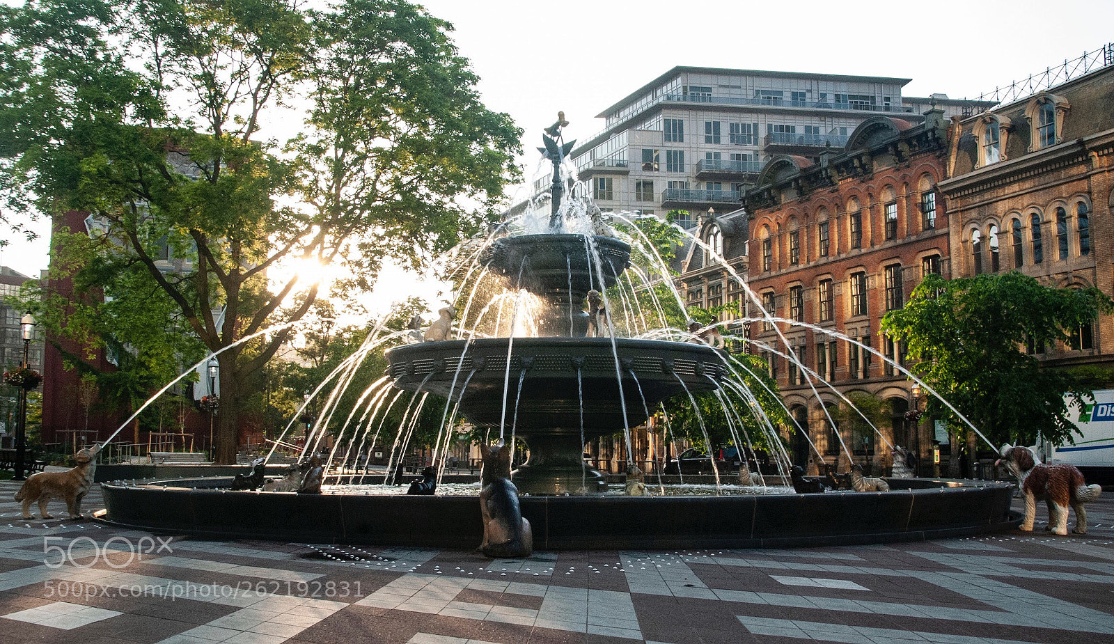 Nikon D80 sample photo. Dog fountain photography