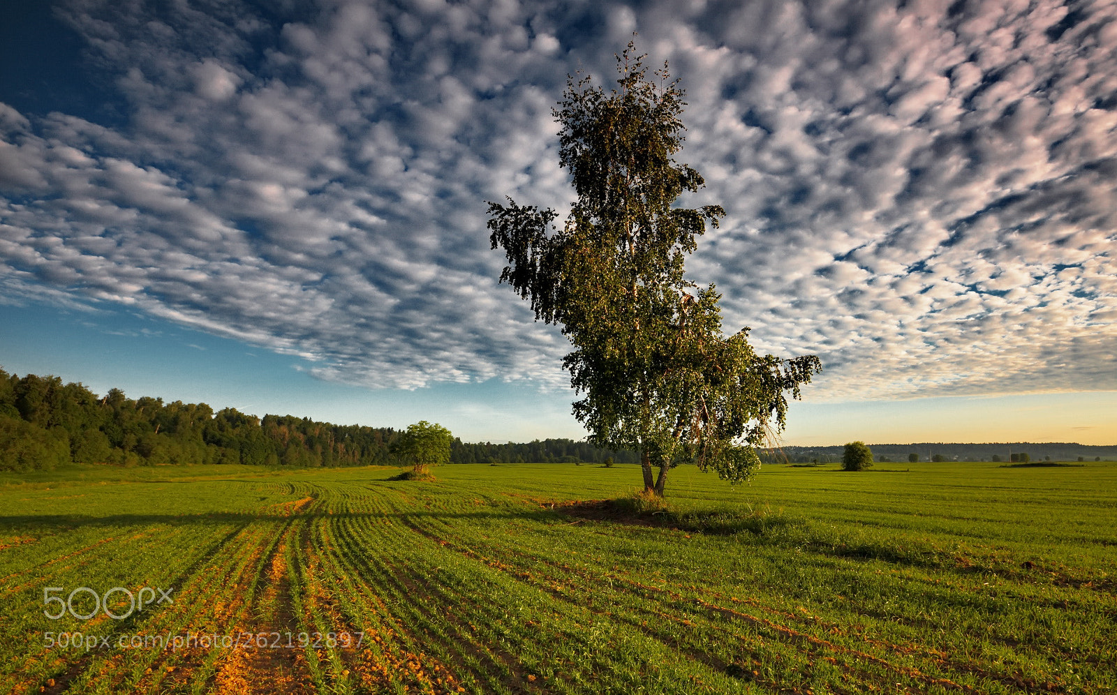 Sigma 10-20mm F3.5 EX DC HSM sample photo. В поле photography