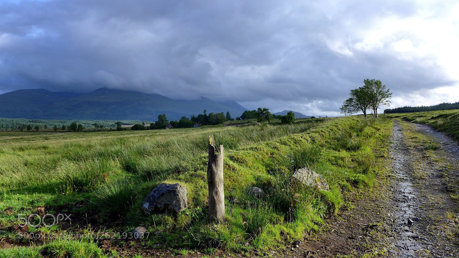 Panasonic Lumix DMC-LX7 sample photo. Summer storm photography