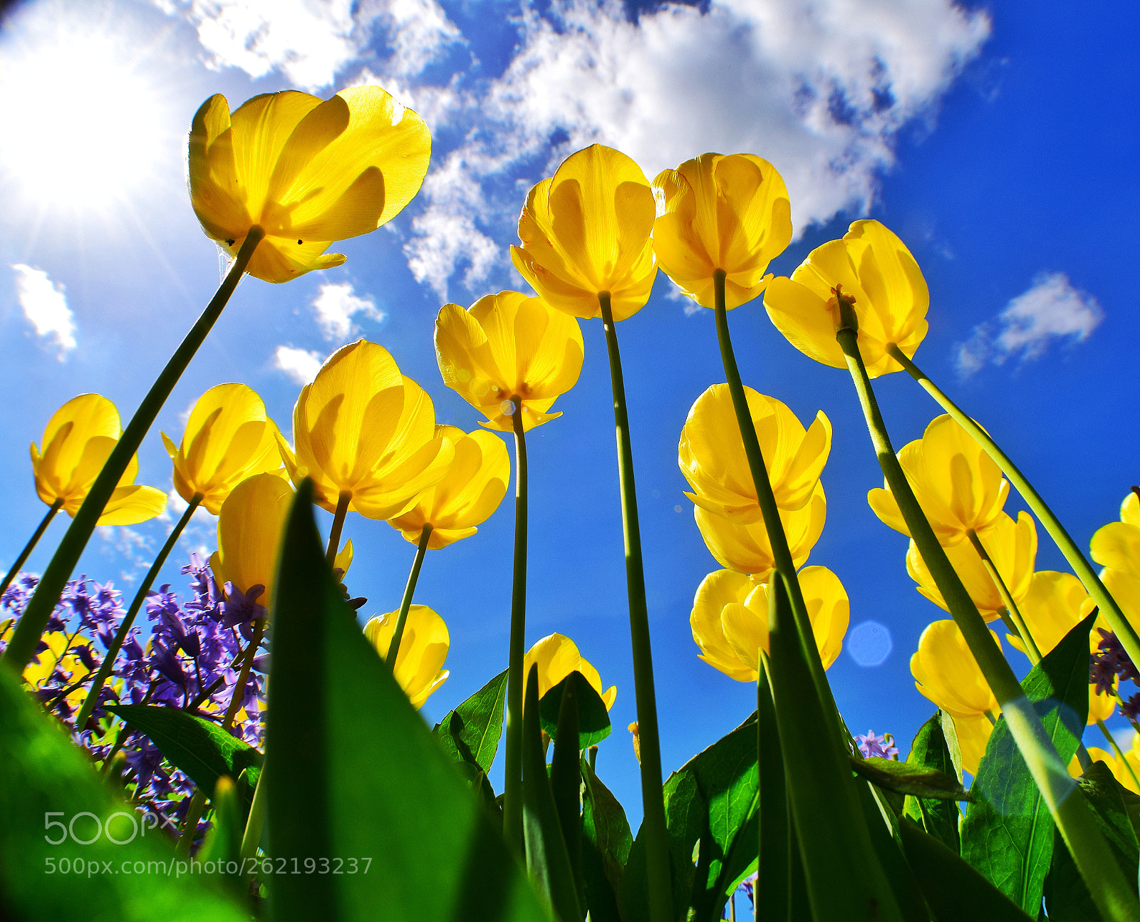Nikon D5300 sample photo. Suben al cielo' photography