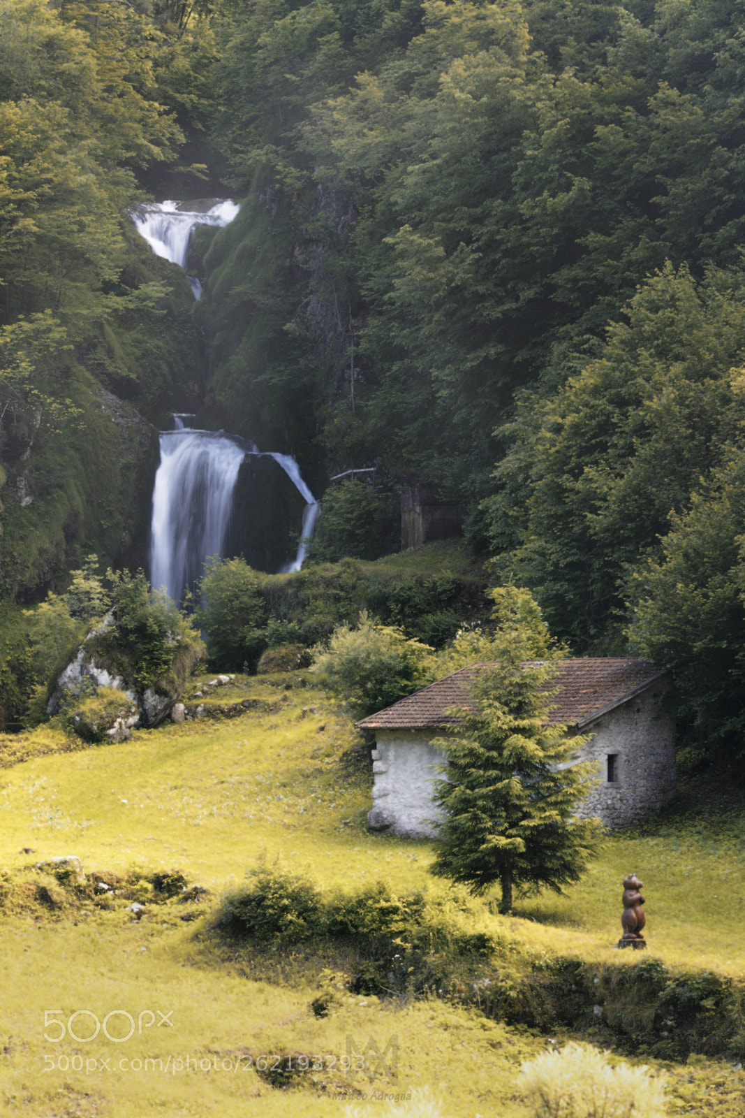 Sony a7 II sample photo. Dsc photography