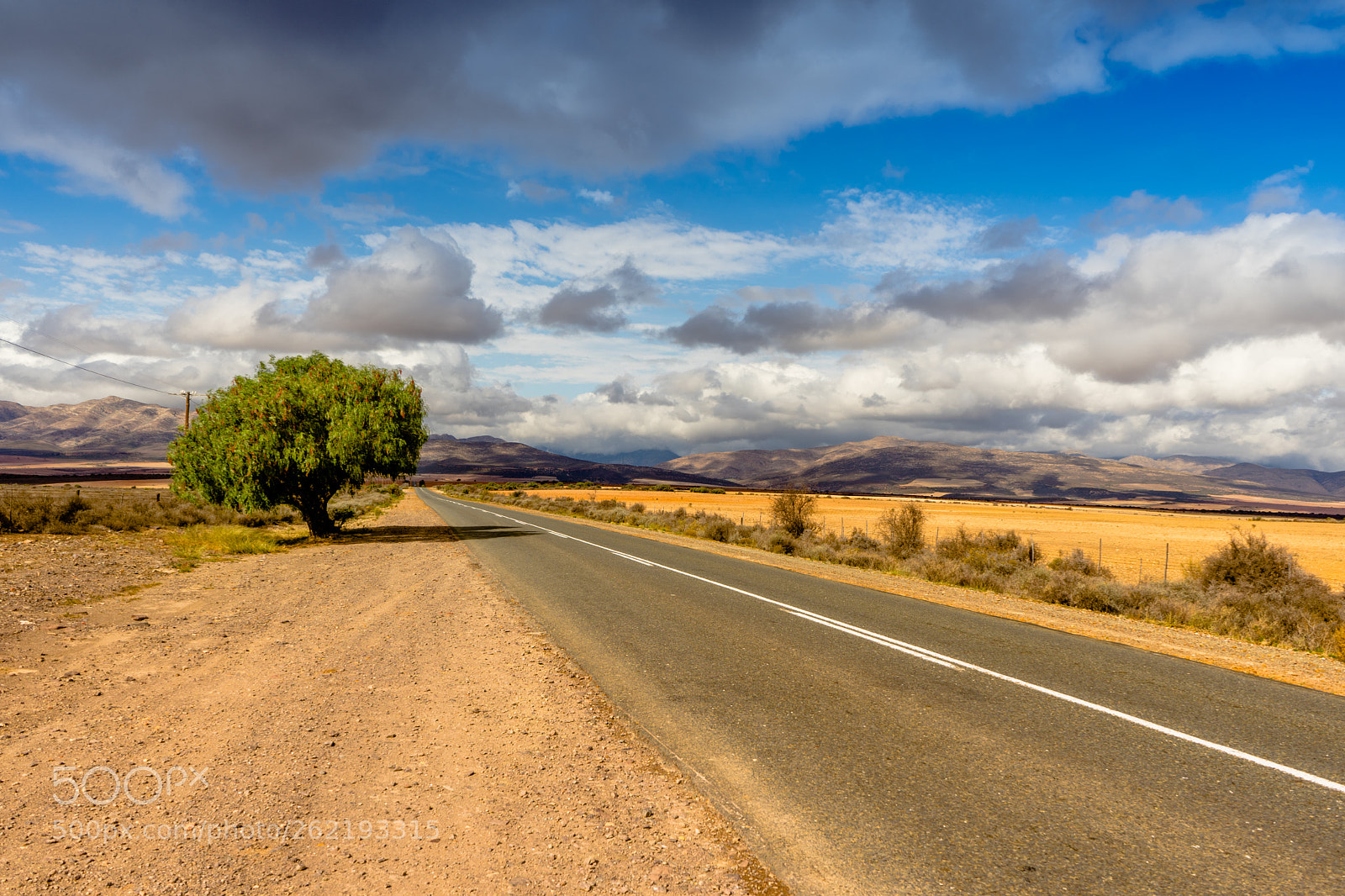 Sony a7 II sample photo. Road trip in south photography