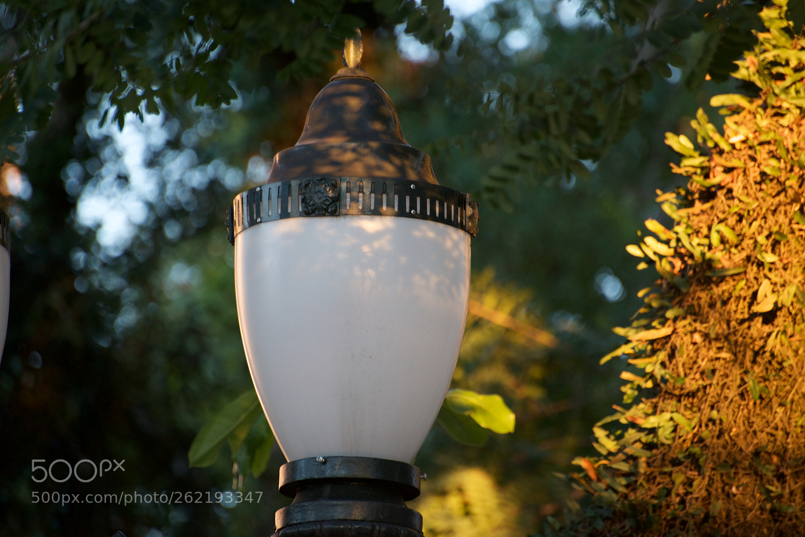 Nikon D610 sample photo. Old lamp in sunset photography