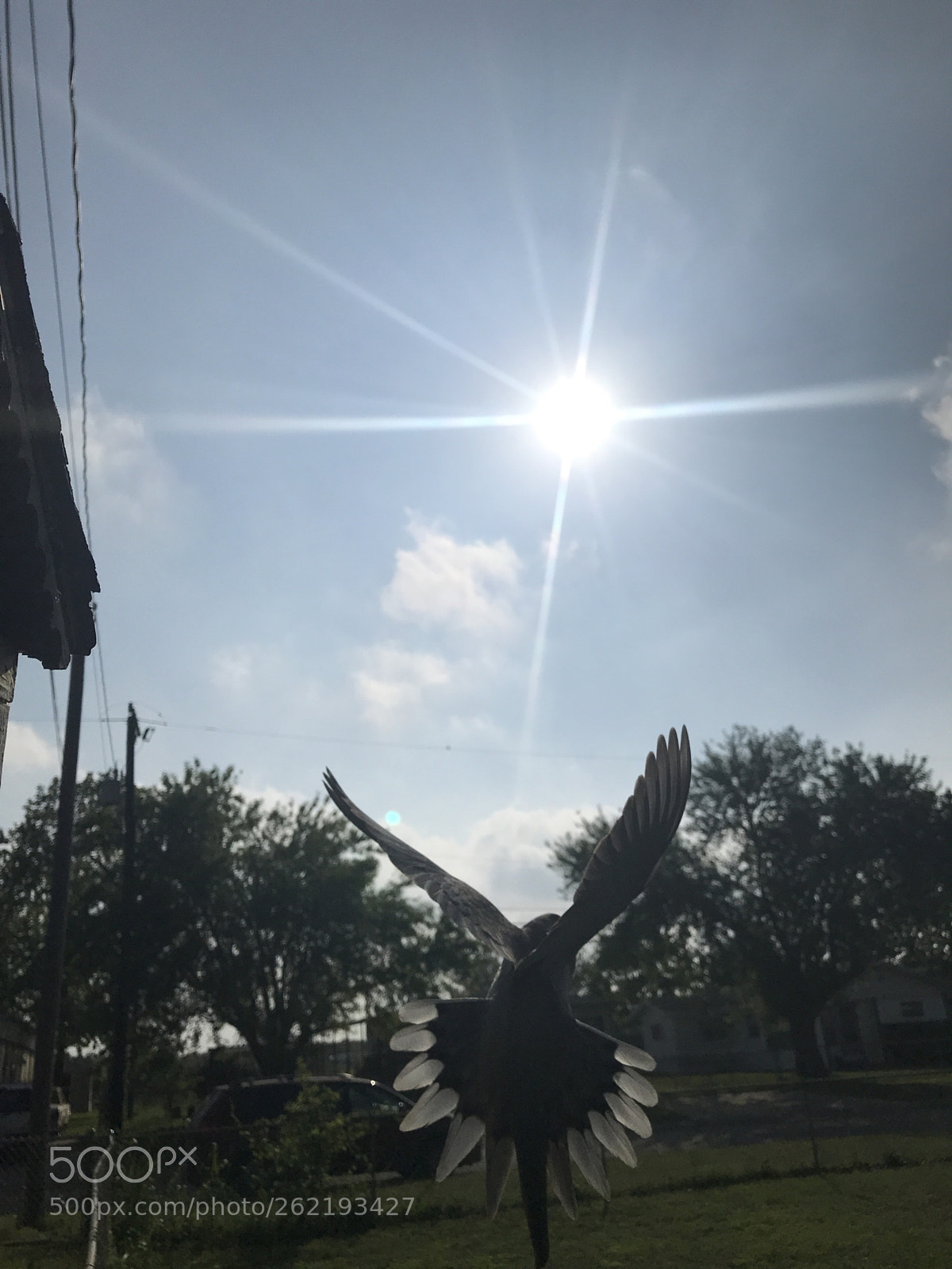 Apple iPhone 7 sample photo. Luck photography