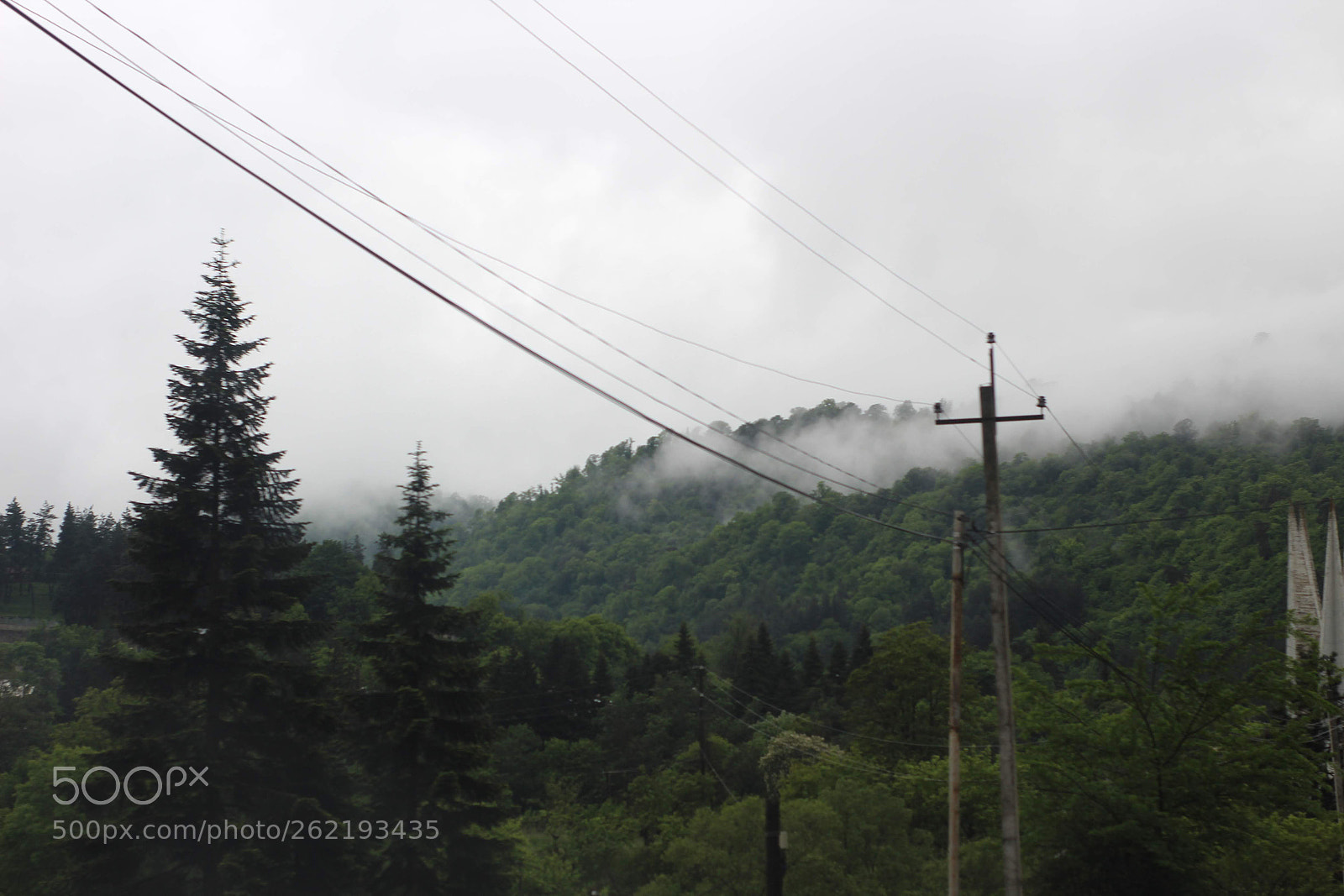 Canon 50mm sample photo. Img photography