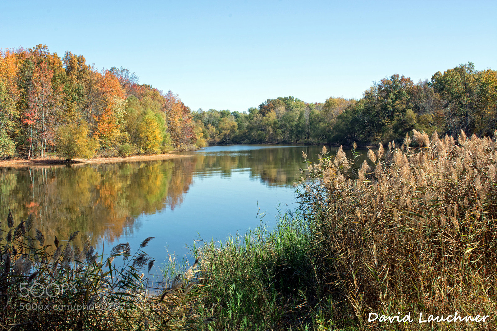 Nikon D5200 sample photo. Autumn 2014 photography