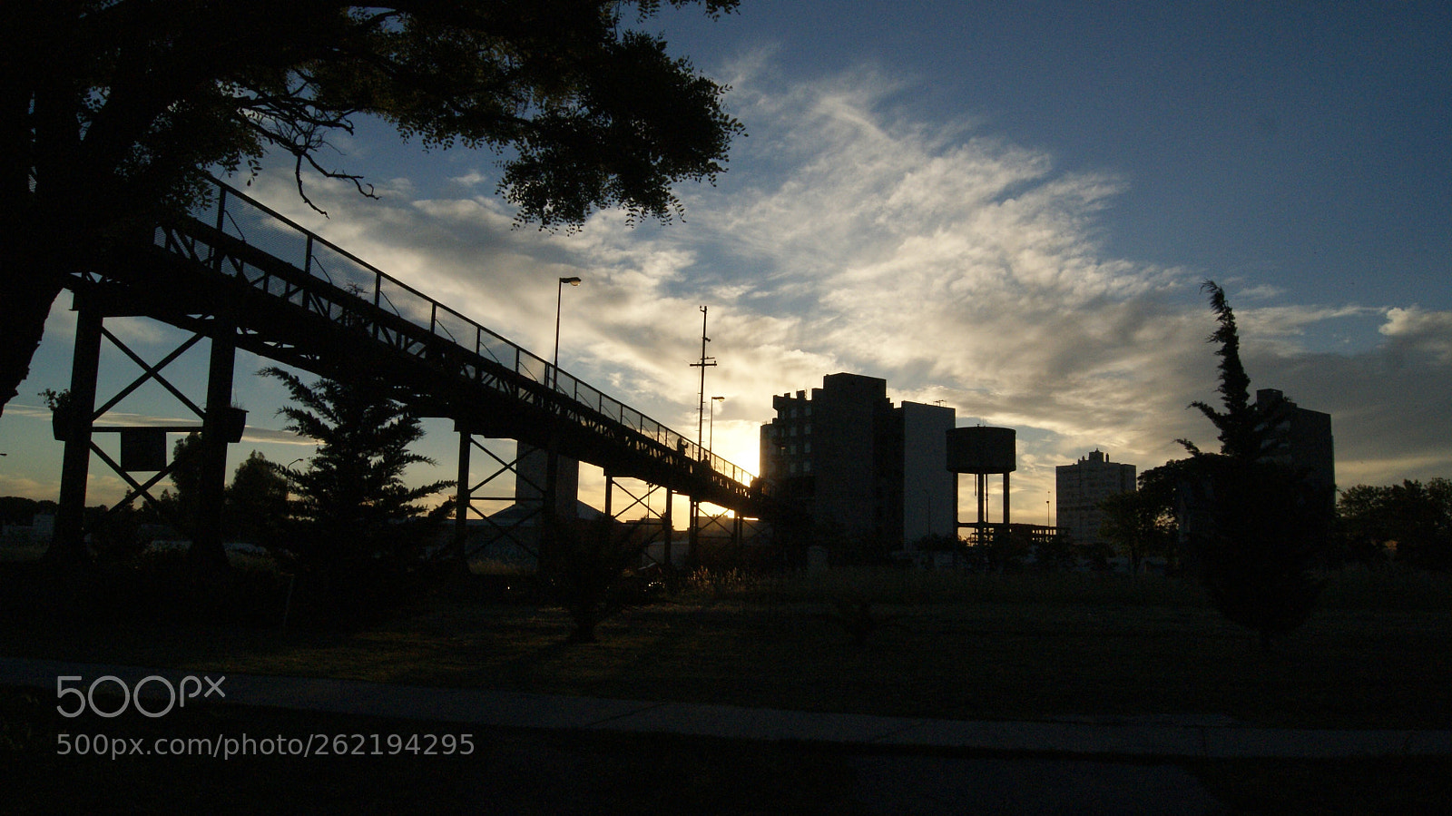 Sony Alpha DSLR-A230 sample photo. Untitled photography