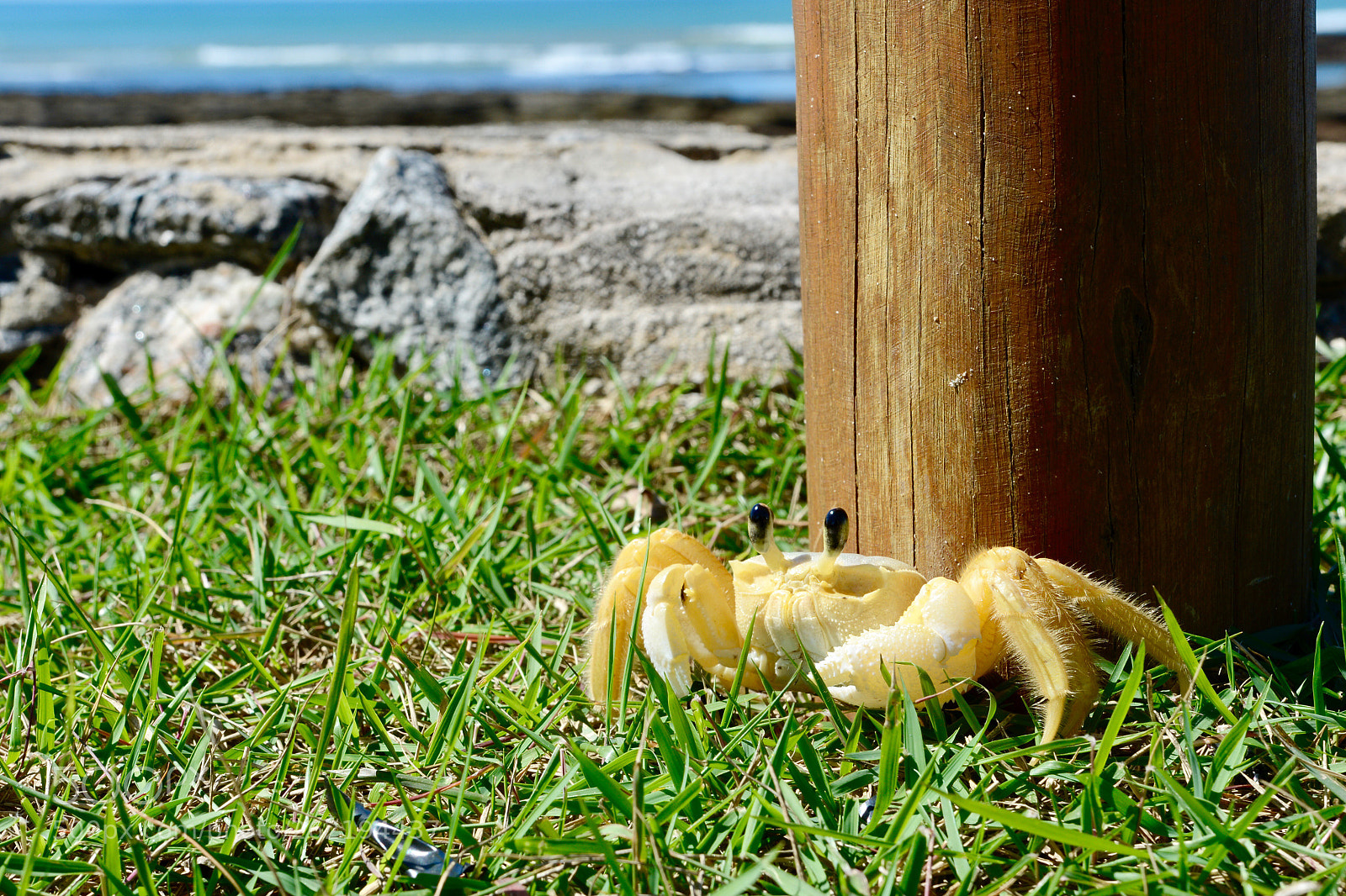 Nikon D7100 sample photo. Untitled photography