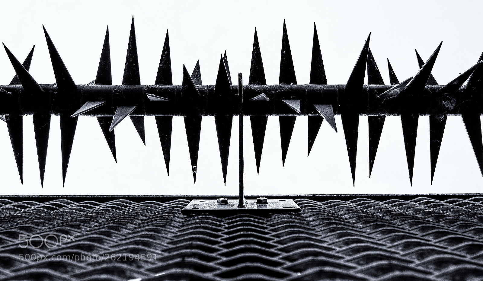 Nikon D810 sample photo. Leeuwarden -protection- photography