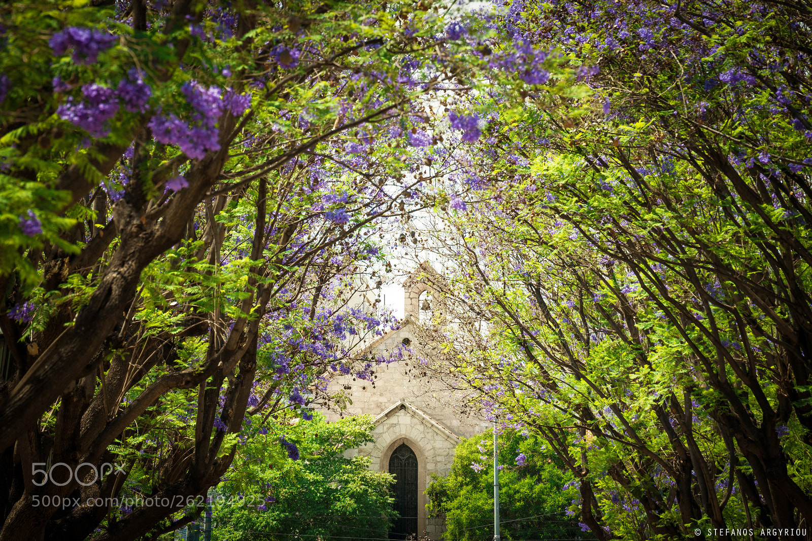 Nikon D750 sample photo. Walking down the alley photography