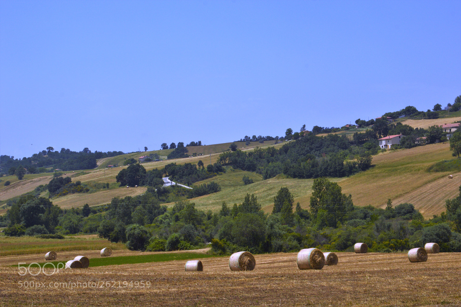 Nikon D3200 sample photo. Hay bales photography