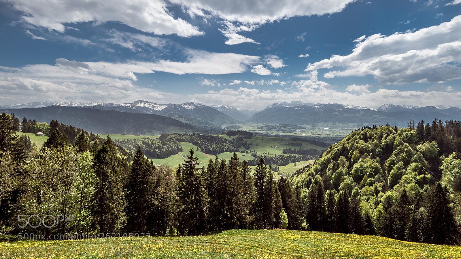 Nikon D750 sample photo. Springtime meadow photography