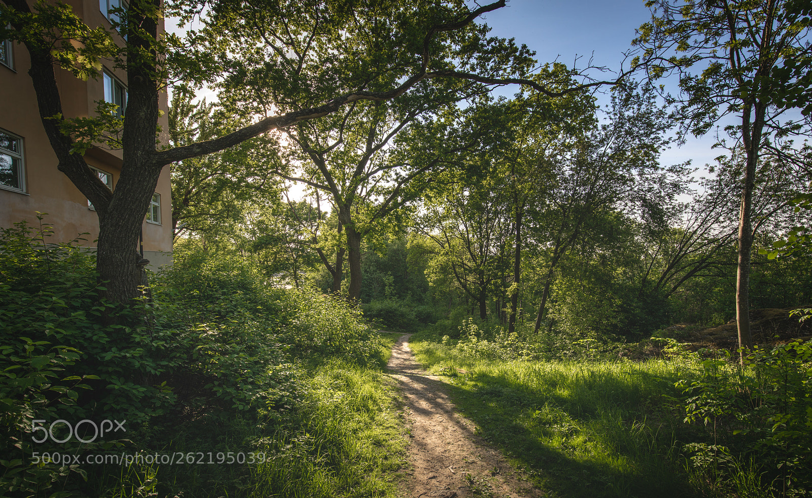 Canon EOS 5D Mark IV sample photo. Path of enlightenment photography