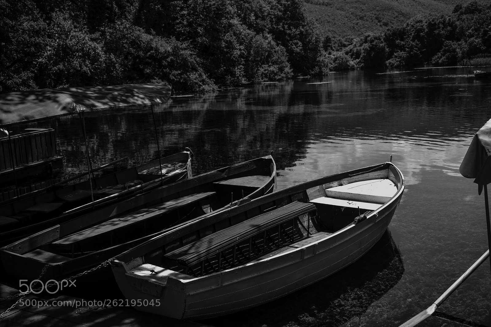 Nikon D5300 sample photo. Natural lake photography