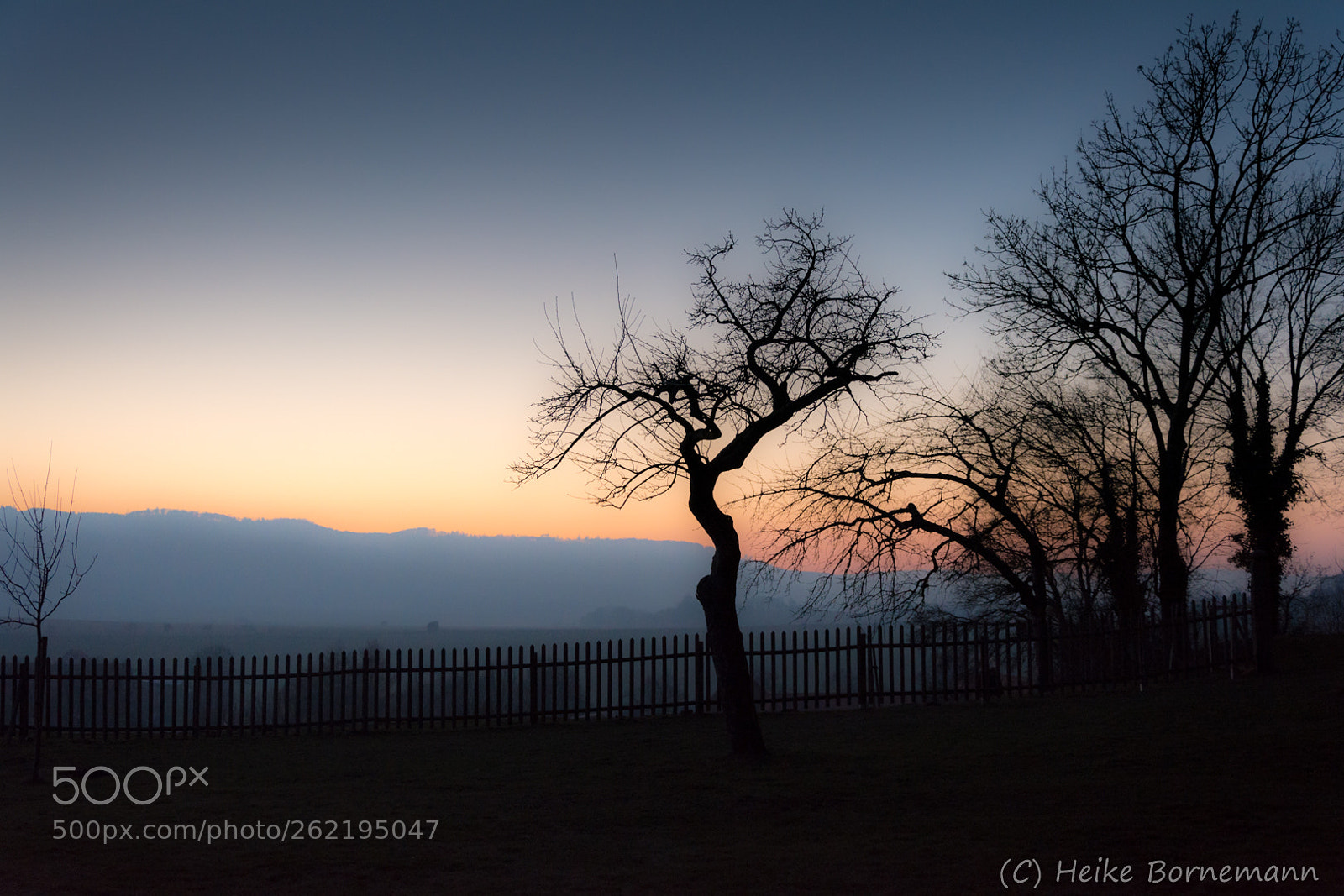 Nikon D5200 sample photo. Silence photography