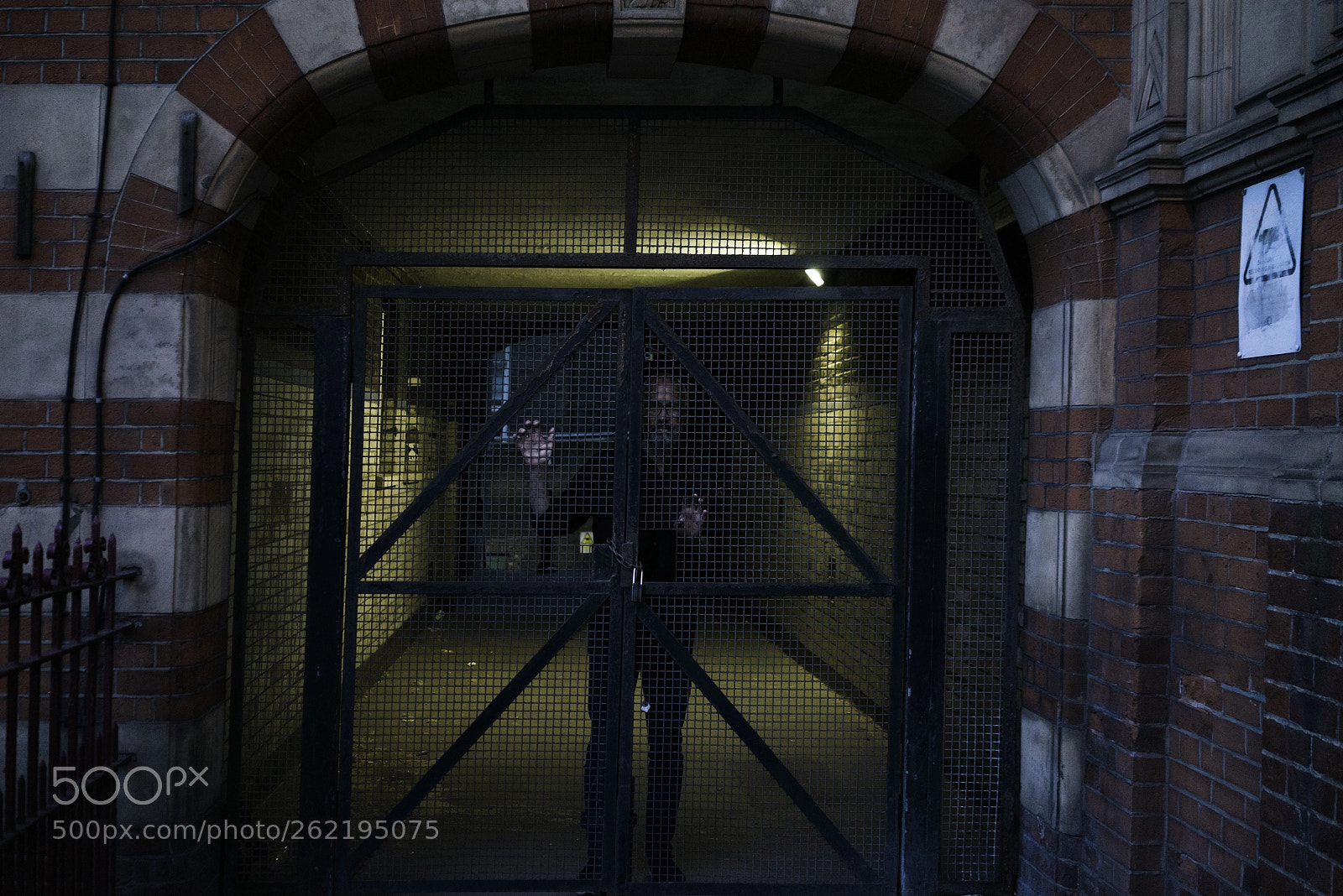 Sony a7R sample photo. Let me in photography