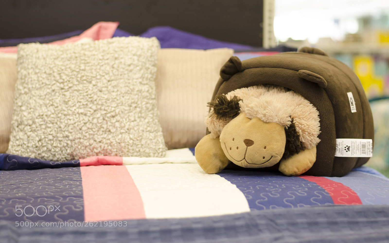 Nikon D7000 sample photo. Ley de tercios photography