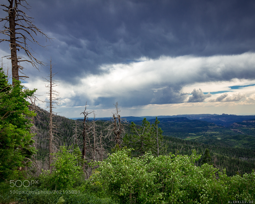 Canon EOS 100D (EOS Rebel SL1 / EOS Kiss X7) sample photo. The dixie national forest photography