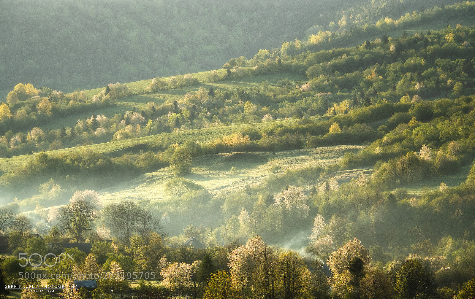 Olympus OM-D E-M5 II sample photo. Carpathian village photography