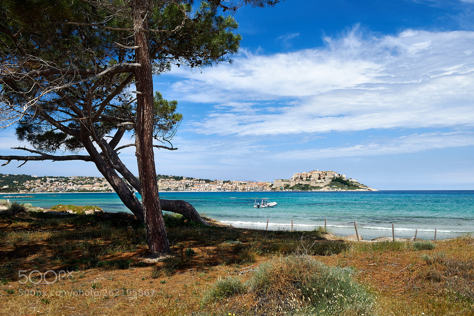 Olympus OM-D E-M10 sample photo. Calvi photography