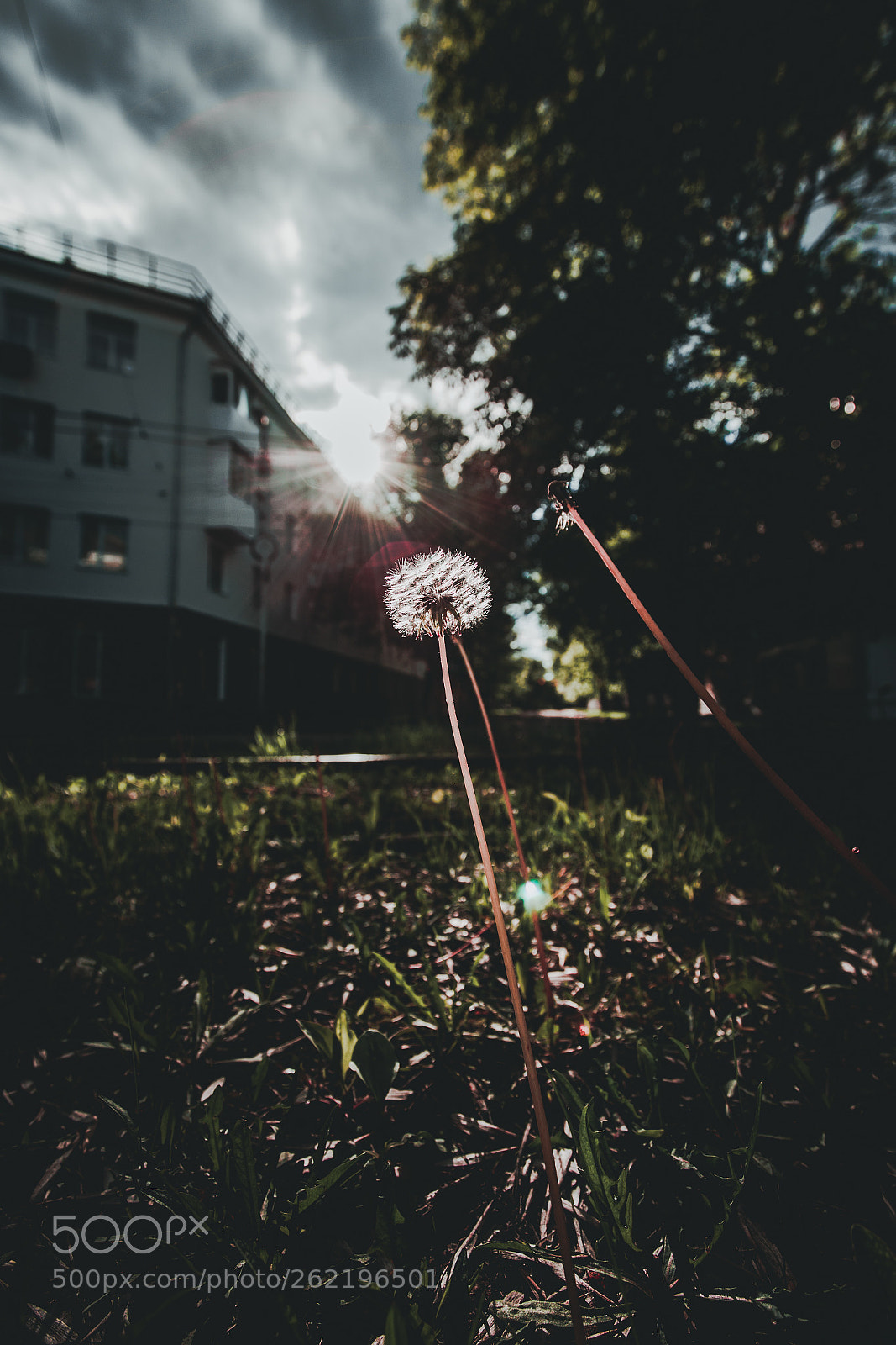 Canon EOS 6D sample photo. Untitled photography