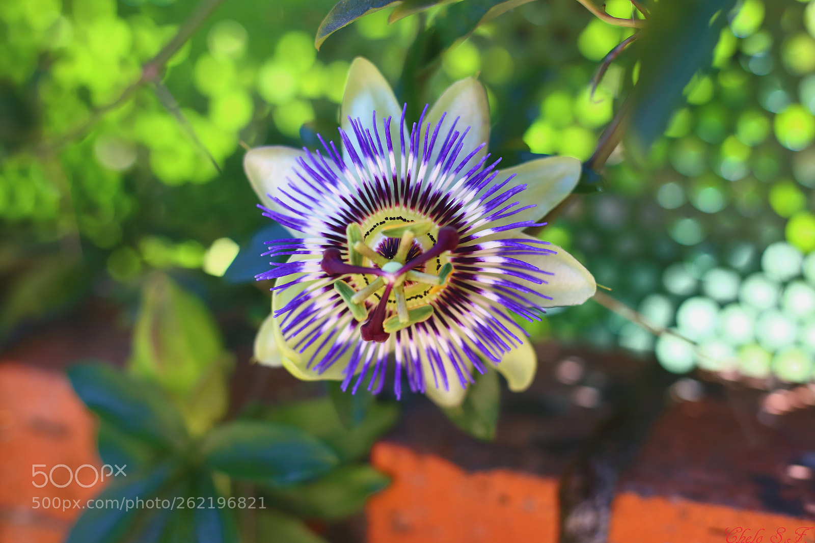 Canon EOS 6D sample photo. Untitled photography