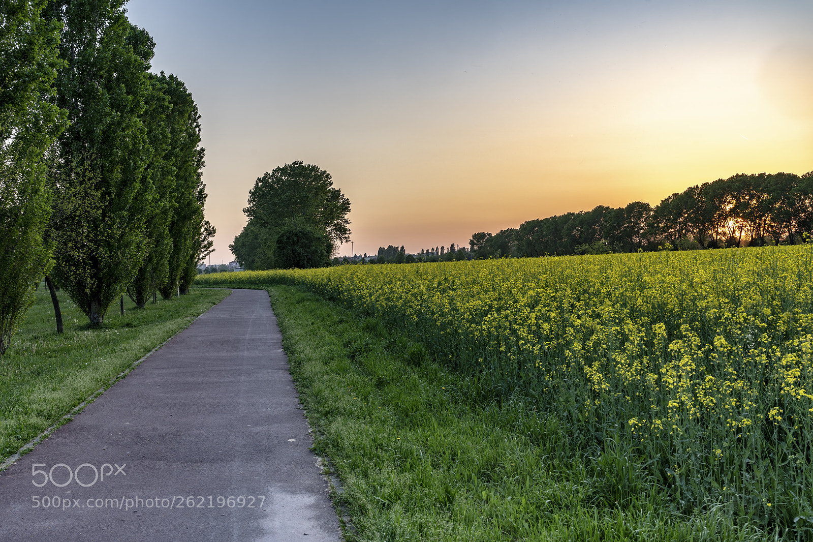 Sony a7 III sample photo. Spring sunset at grugnotorto photography