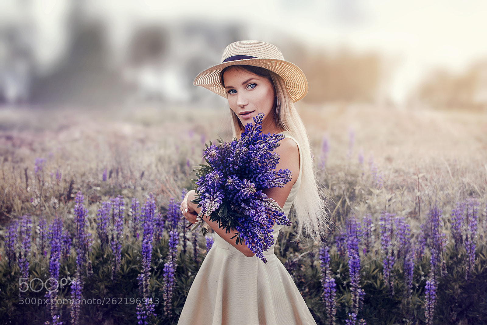 Canon EOS 60D sample photo. Lupine field photography