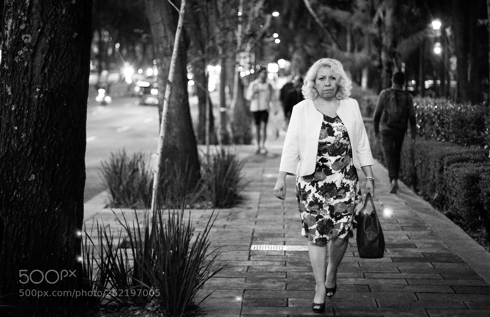 Canon EOS 80D sample photo. Untitled photography