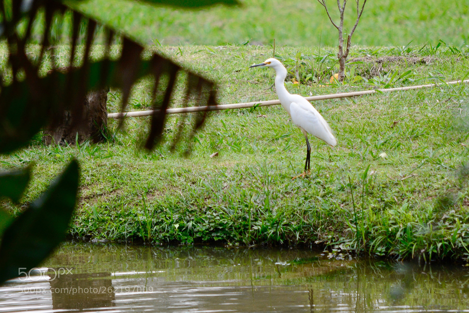 Nikon D7100 sample photo. Untitled photography